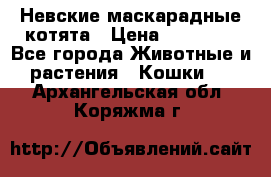 Невские маскарадные котята › Цена ­ 15 000 - Все города Животные и растения » Кошки   . Архангельская обл.,Коряжма г.